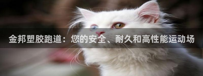 谈球吧黑款不：金邦塑胶跑道：您的安全、耐久和高性能运动场
