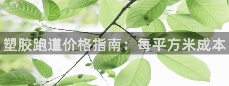 谈球吧体育app下载官网手机版安装：塑胶跑道价格指南：每平方米成本