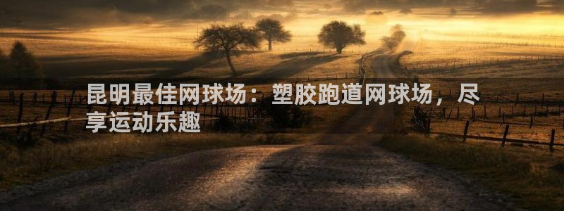 谈球吧在线登录：昆明最佳网球场：塑胶跑道网球场，尽
享运动乐趣