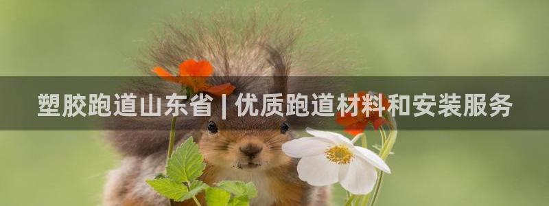 谈球吧的聊天软件叫什么：塑胶跑道山东省 | 优质跑道材料和安装服务
