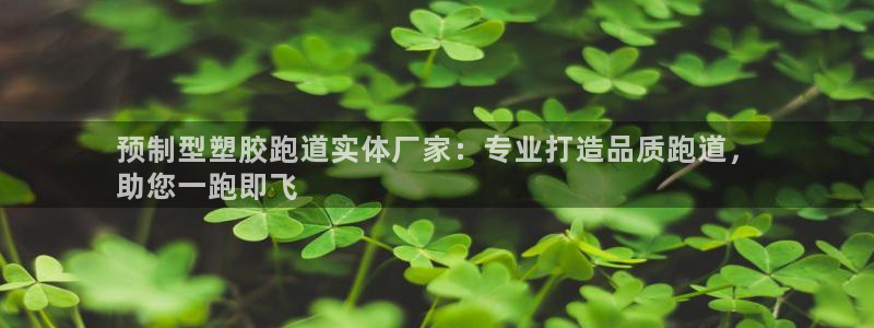 谈球吧(中国)官方网站：预制型塑胶跑道实体厂家：专业打造品质跑道，
助您一跑即飞