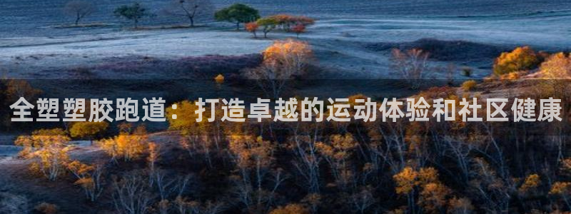 谈球吧算违法行为吗为什么：全塑塑胶跑道：打造卓越的运动体验和社区健康