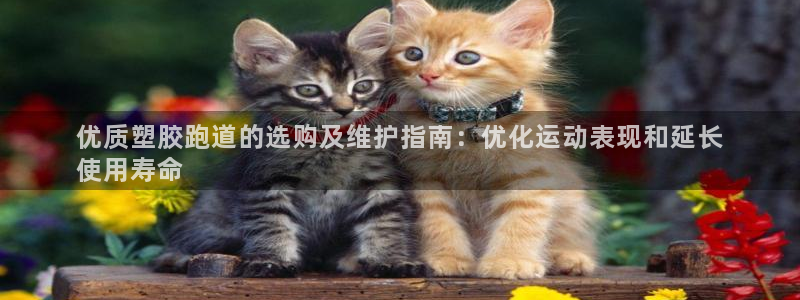 谈球吧平台正规吗可信吗安全吗：优质塑胶跑道的选购及维