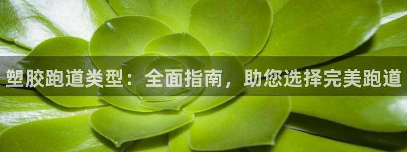 谈球吧下载地址：塑胶跑道类型：全面指南，助您选择完美跑道