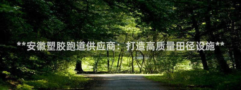 谈球吧app官方下载：**安徽塑胶跑道供应商：打造高质量田径设施**