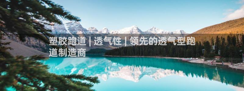 谈球吧中国官方网站：塑胶跑道 | 透气性 | 领先的透气型跑
道制造商