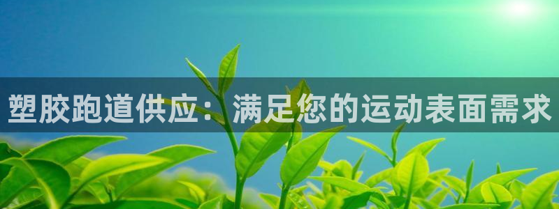 谈球吧体育app登陆不上：塑胶跑道供应：满足您的运动表面需求