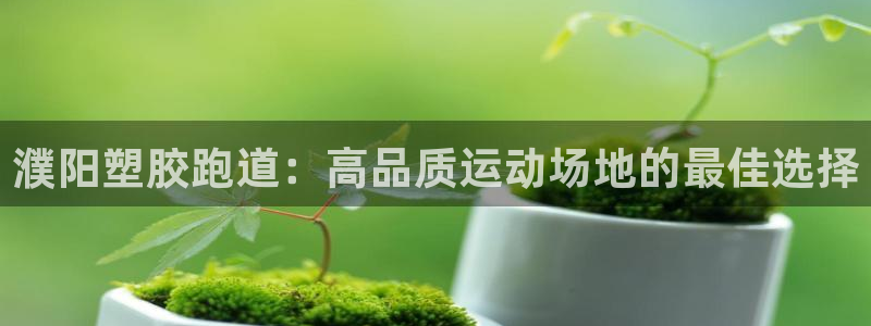 谈球吧APP入口：濮阳塑胶跑道：高品质运动场地的最佳