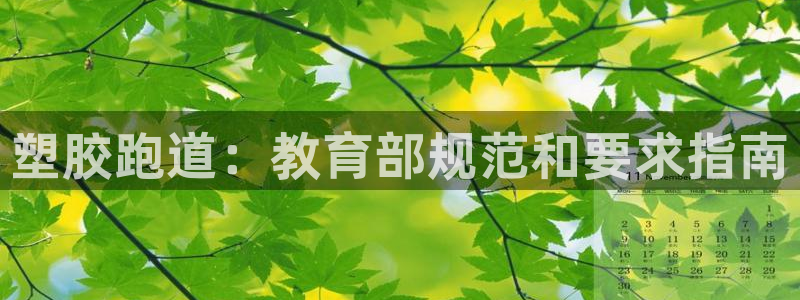 谈球吧体育app下载：塑胶跑道：教育部规范和要求指南
