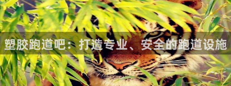 谈球吧app赛事分析报告：塑胶跑道吧：打造专业、安全