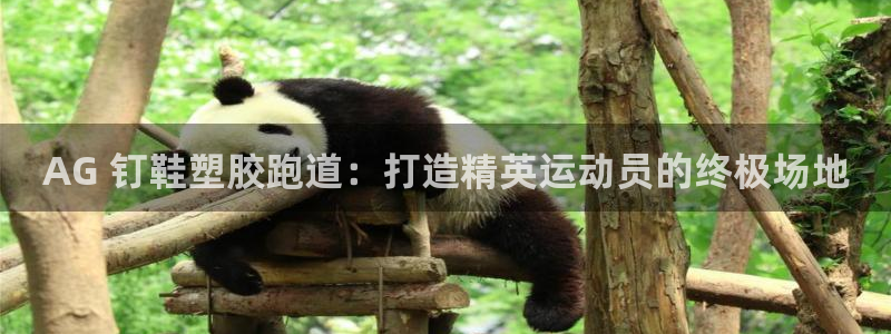 谈球吧官网在线入口免费观看视频：AG 钉鞋塑胶跑道：打造精英运动员的终极场地