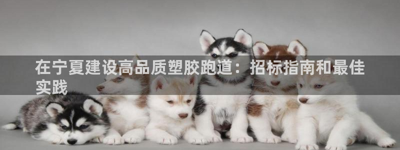 谈球吧能提现不：在宁夏建设高品质塑胶跑道：招标指南和