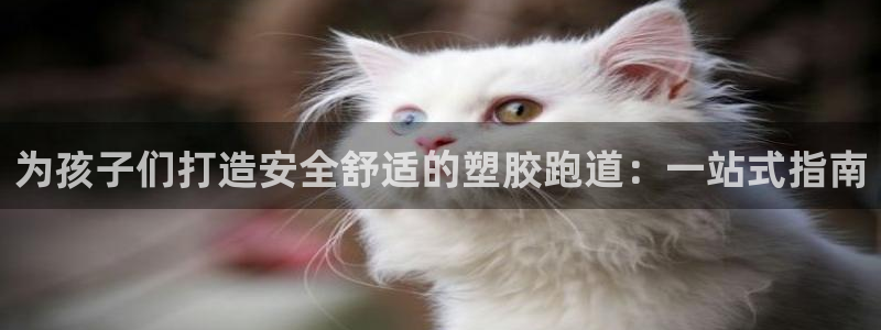 谈球吧红包码：为孩子们打造安全舒适的塑胶跑道：一站式指南