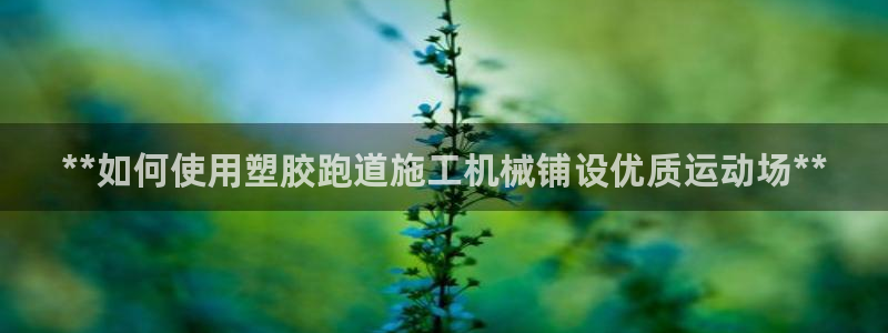 谈球吧是黑台子吗知乎小说：**如何使用塑胶跑道施工机械铺设优质运动场**