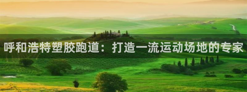 谈球吧体育app登陆不上：呼和浩特塑胶跑道：打造一流