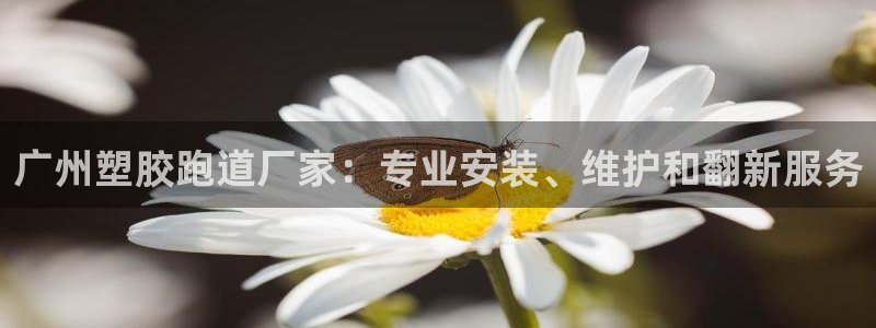 谈球吧app赛事分析报告模板：广州塑胶跑道厂家：专业