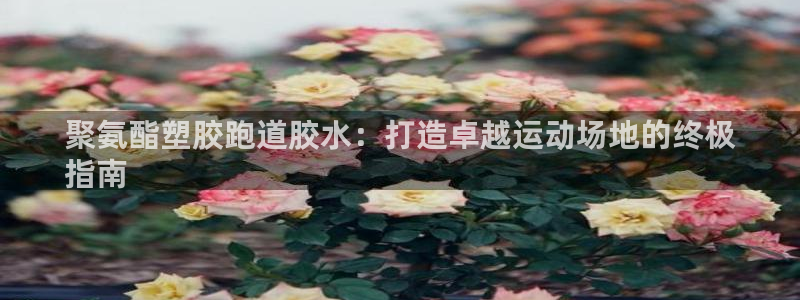 谈球吧体育app下载中心在哪找：聚氨酯塑胶跑道胶水：打造卓越运动场地的终极
指南