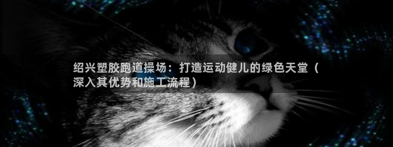 谈球吧体育app下载足球直播软件：绍兴塑胶跑道操场：打造运动健儿的绿色天堂（
深入其优势和施工流程）