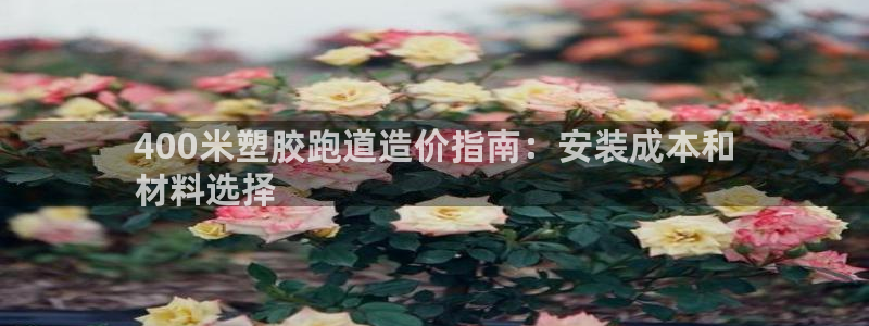 谈球吧体育app下载足球直播：400米塑胶跑道造价指