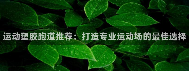 谈球吧nba：运动塑胶跑道推荐：打造专业运动场的最佳选择