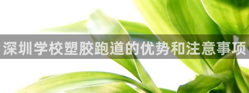 谈球吧-体育赛事：深圳学校塑胶跑道的优势和注意事项