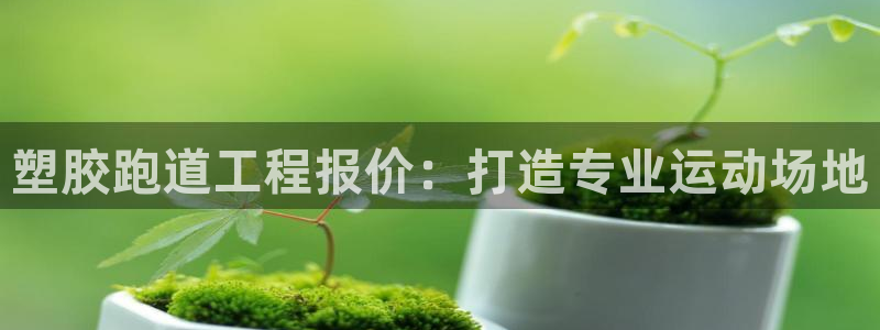 谈球吧app体育：塑胶跑道工程报价：打造专业运动场地