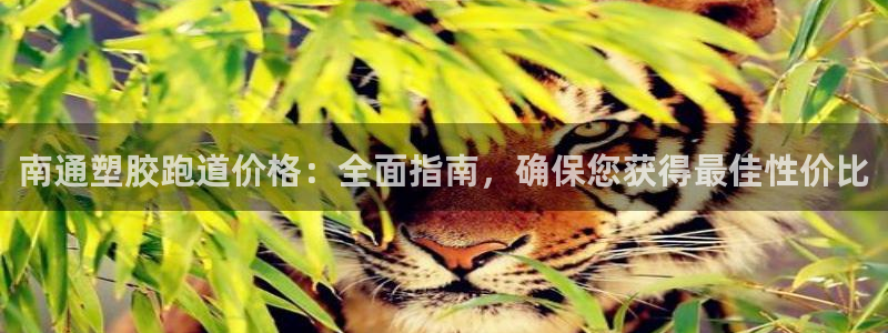 谈球吧体育首页综合登陆：南通塑胶跑道价格：全面指南，确保您获得最佳性价比