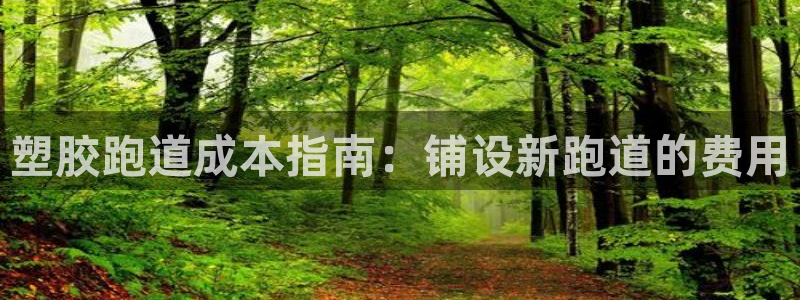 谈球吧在线观看：塑胶跑道成本指南：铺设新跑道的费用