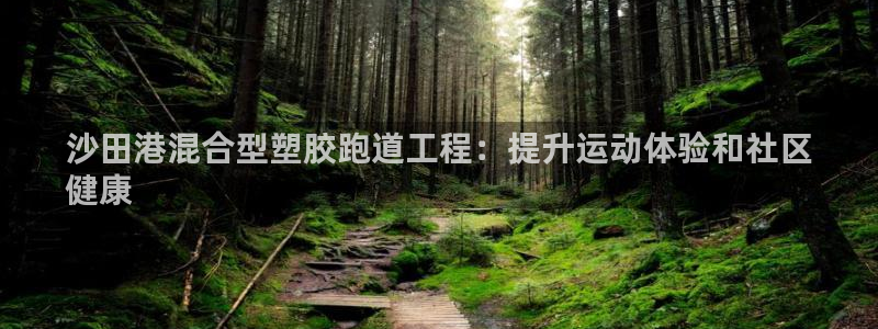 谈球吧App：沙田港混合型塑胶跑道工程：提升运动体验和社区
健康