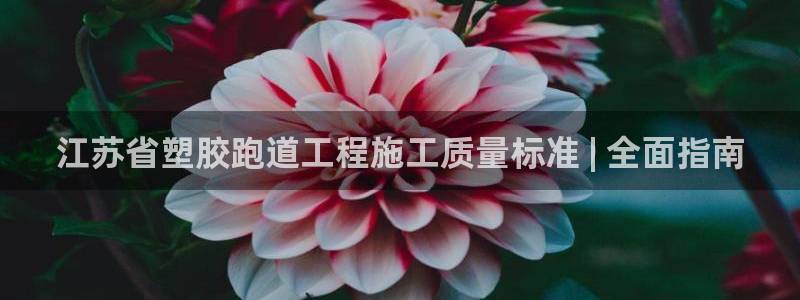 谈球吧在线登录：江苏省塑胶跑道工程施工质量标准 | 全面指南