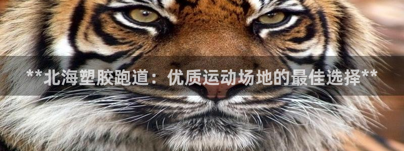 谈球吧体育app下载中心官网：**北海塑胶跑道：优质运动场地的最佳选择**