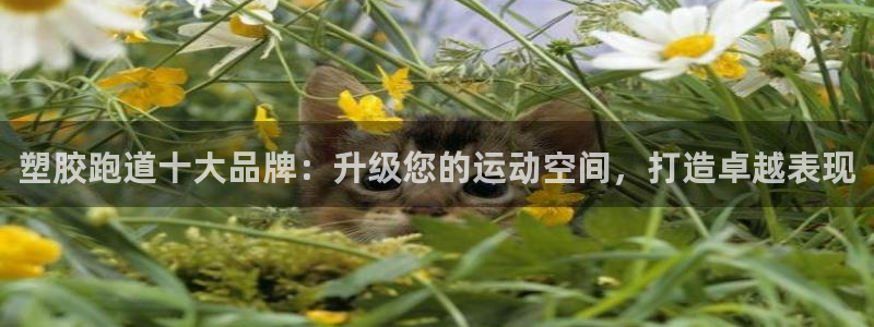 谈球吧的聊天软件有哪些：塑胶跑道十大品牌：升级您的运动空间，打造卓越表现