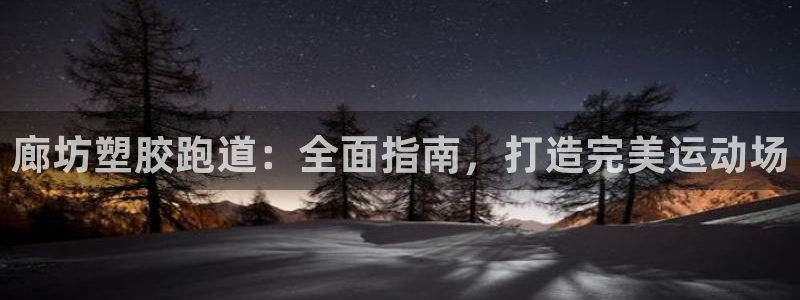 谈球吧体育app下载官网手机版安装：廊坊塑胶跑道：全面指南，打造完美运动场