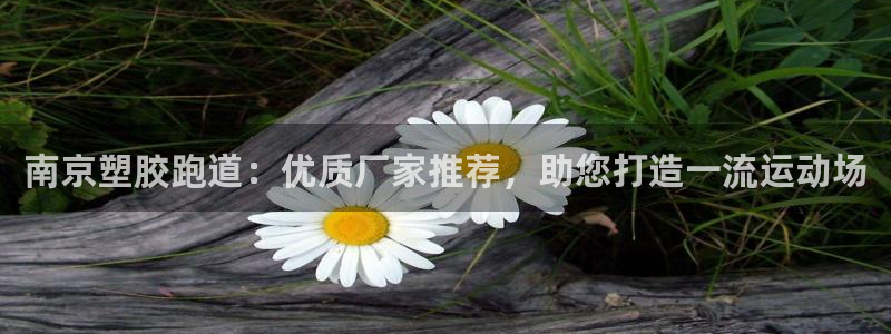 谈球吧在线观看：南京塑胶跑道：优质厂家推荐，助您打造