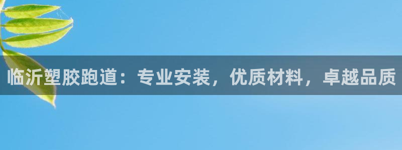 谈球吧不出款：临沂塑胶跑道：专业安装，优质材料，卓越