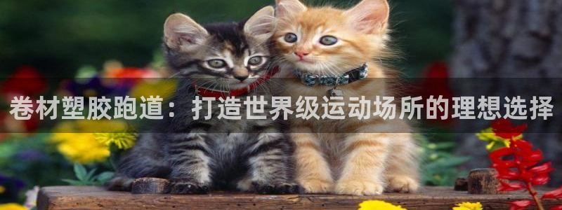 谈球吧平台正规吗可靠吗知乎：卷材塑胶跑道：打造世界级运动场所的理想选择