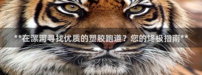 谈球吧官网登录：**在漯河寻找优质的塑胶跑道？您的终