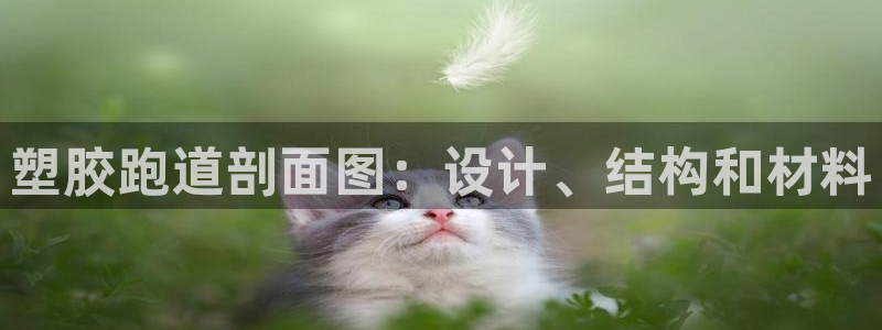 谈球吧咋样：塑胶跑道剖面图：设计、结构和材料