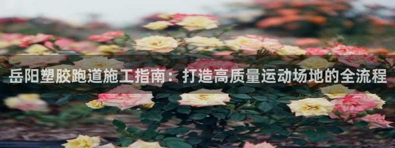 谈球吧app在哪里下载：岳阳塑胶跑道施工指南：打造高质量运动场地的全流程