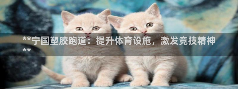 谈球吧咋样：**宁国塑胶跑道：提升体育设施，激发竞技精神
**