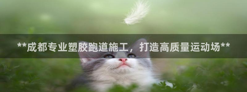 谈球吧红包码