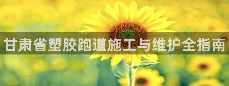 谈球吧怎么样?：甘肃省塑胶跑道施工与维护全指南