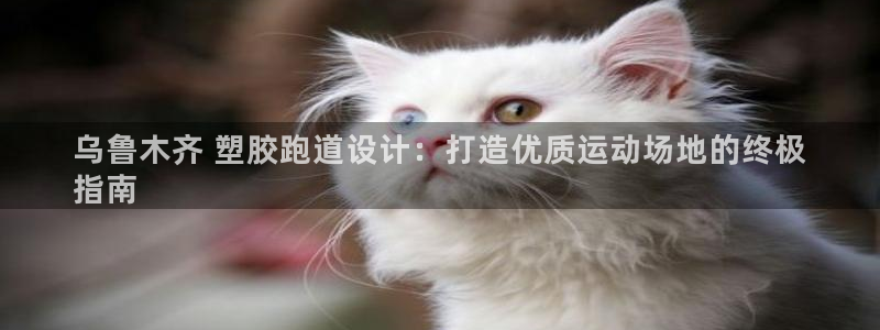 谈球吧体育app下载中心官网苹果：乌鲁木齐 塑胶跑道设计：打造优质运动场地的终极
指南
