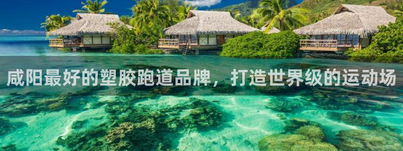 谈球吧体育app登陆不了