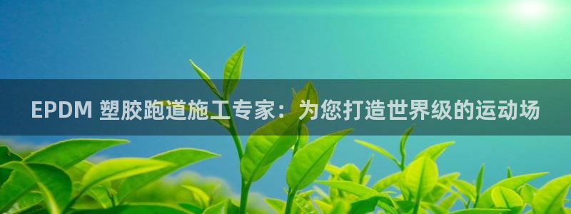 谈球吧体育app登陆：EPDM 塑胶跑道施工专家：为您打造世界级的运动场