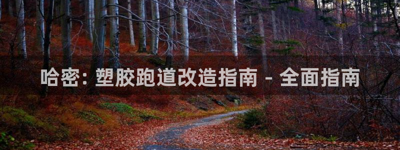 谈球吧与普通平台对比：哈密: 塑胶跑道改造指南 - 全面指南