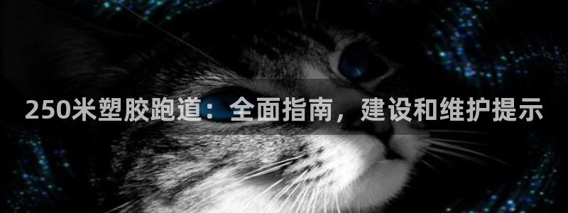谈球吧的聊天软件叫什么名字：250米塑胶跑道：全面指南，建设和维护提示