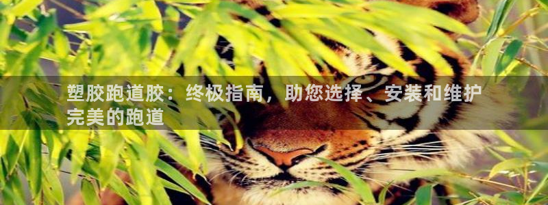 谈球吧app下载：塑胶跑道胶：终极指南，助您选择、安装和维护
完美的跑道