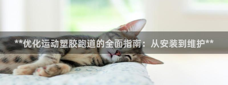 谈球吧账号有人收吗：**优化运动塑胶跑道的全面指南：