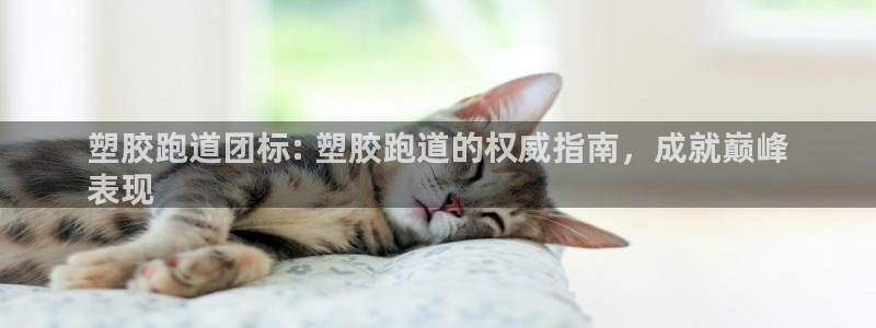 谈球吧与普通平台对比：塑胶跑道团标: 塑胶跑道的权威指南，成就巅峰
表现